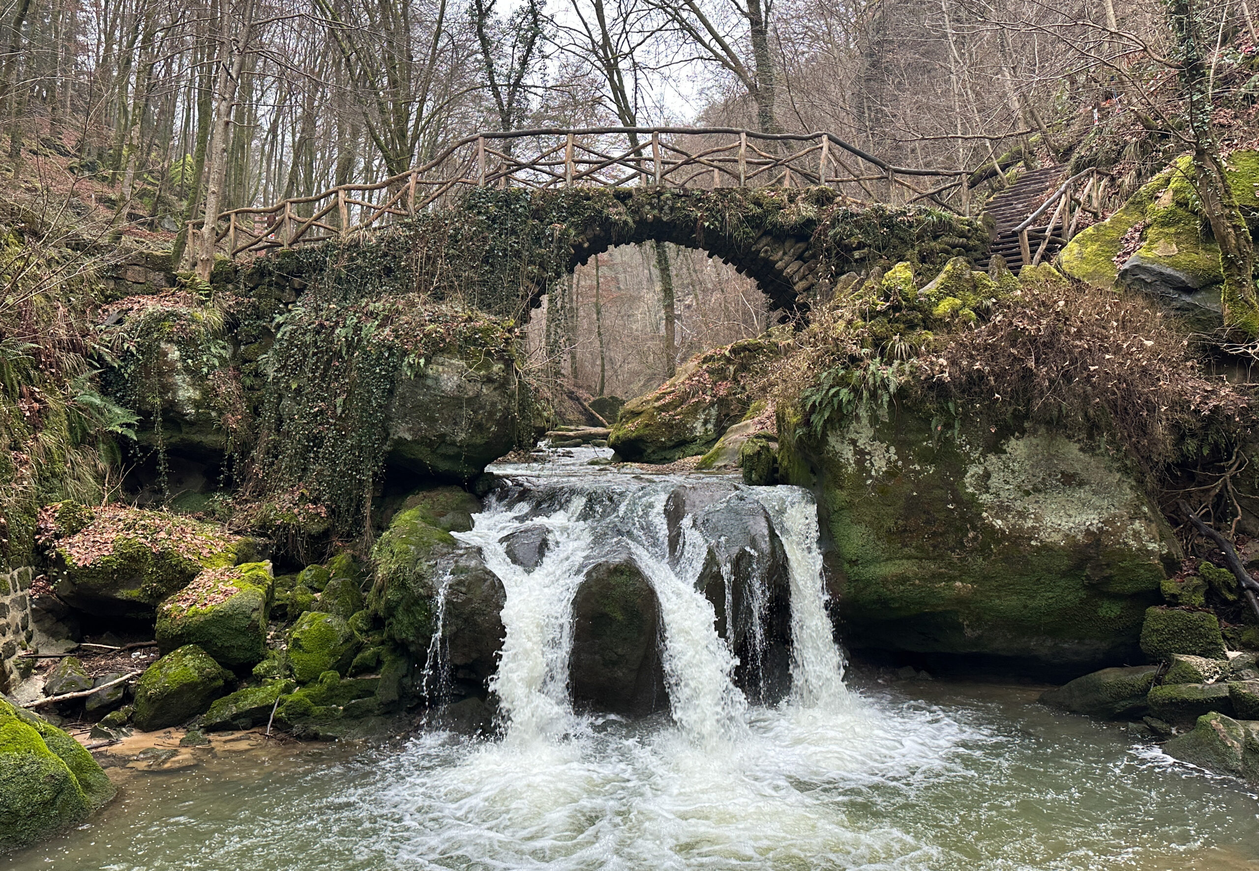 One Stop Guide to Mullerthal Nature and Geopark